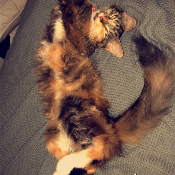 Jodi Renee Shotts❤️❤️ - Picture 5 of 7